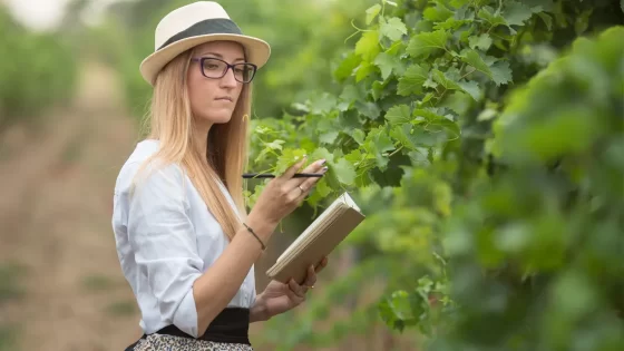 Corso abbinamento cibo vino